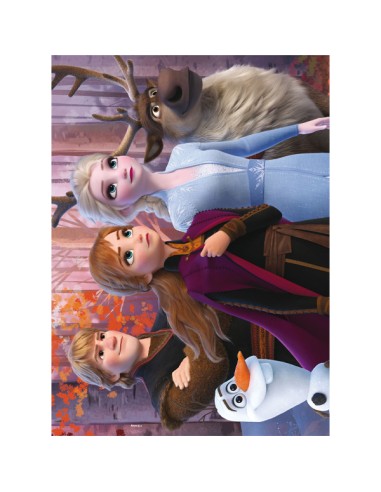Puzzle Lisciani Frozen - il regno dello shop